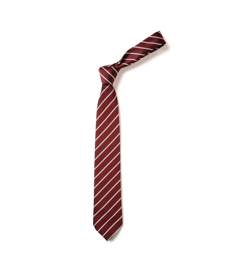 TIE6.jpg