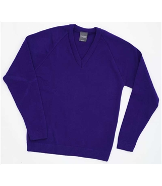 purple v neck school jumper